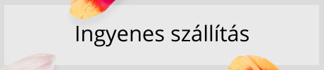 Ingyenes szállítás